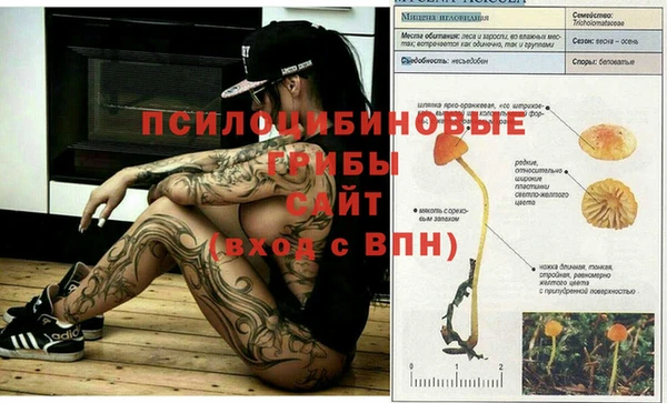 эйфоретик Алексин