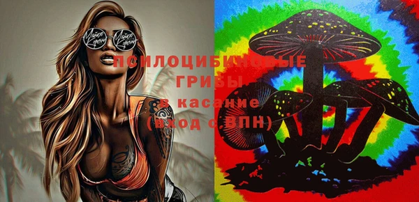 PSILOCYBIN Алексеевка