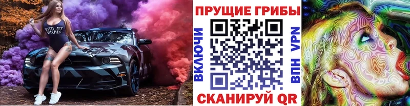 наркотики  Уфа  Псилоцибиновые грибы Psilocybine cubensis 